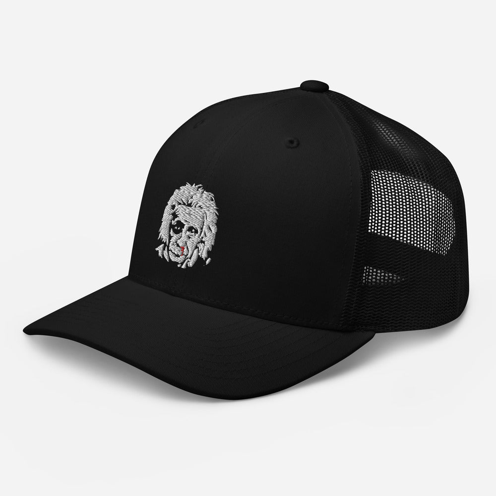 Trucker Cap Einstizein