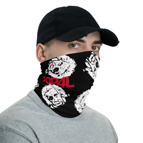 Neck gaiter